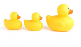 吃瓜爆料小黄鸭图片大全